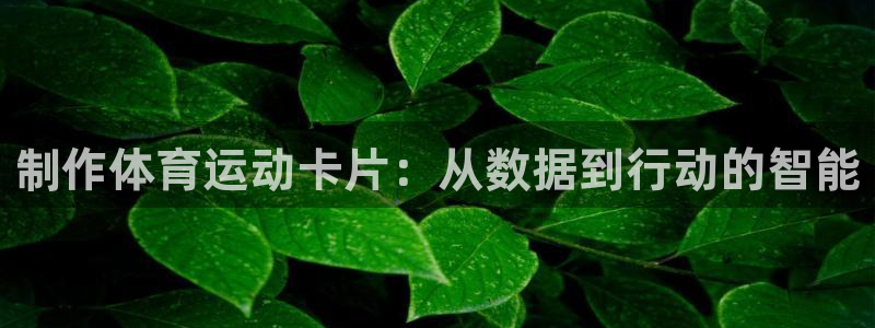 胜天国际体育app下载