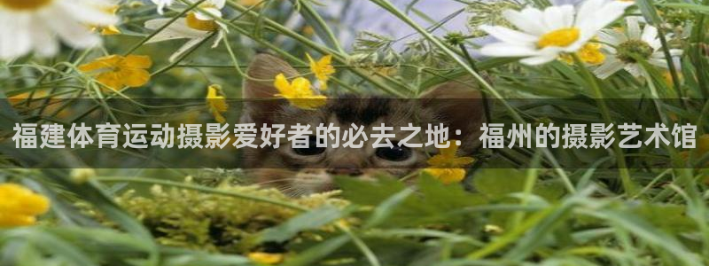 佛山市南海胜天国际机电仪器有限公司