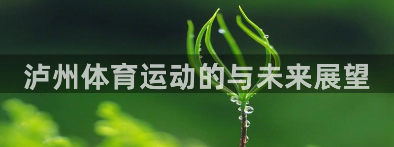 胜天国际3代理