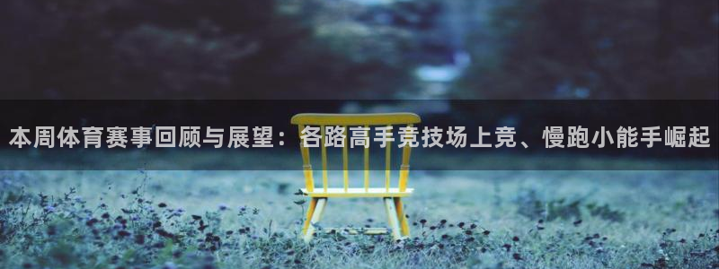 胜天国际2代理注册