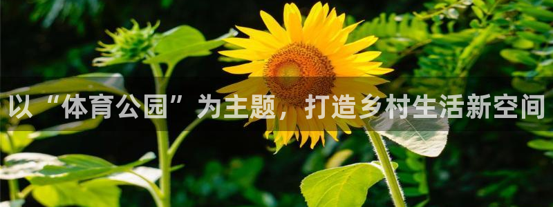 意昂代理