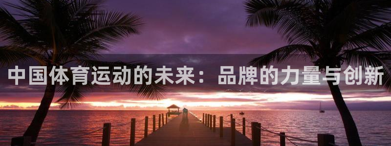 胜天国际3代理