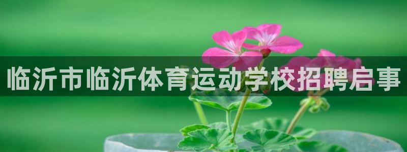 胜天国际体育免费注册入口