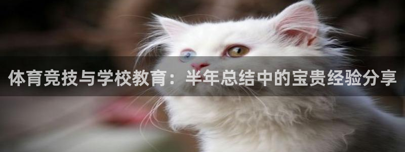 意昂体育3