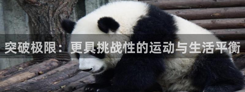 胜天国际登录注册