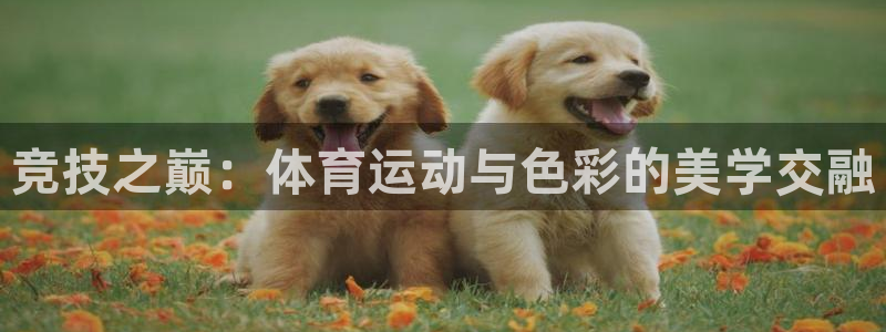 胜天国际2平台