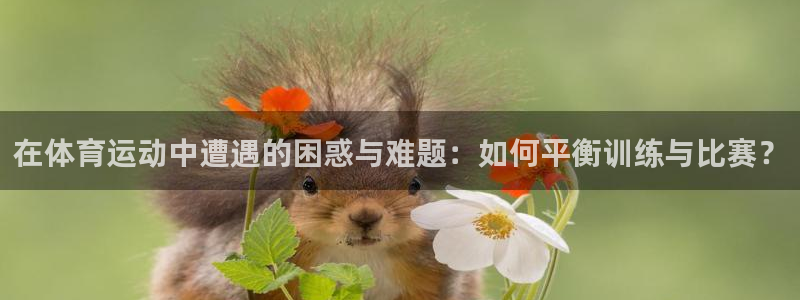 胜天国际3登录