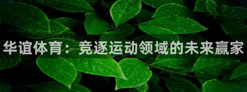 胜天国际凯捷注册