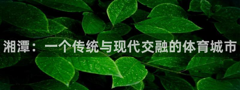 胜天国际2代理注册