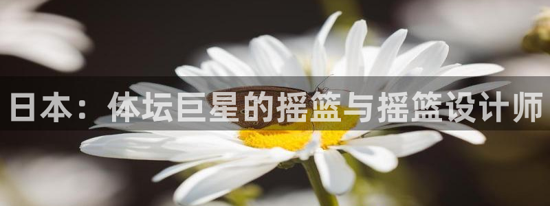 胜天国际零能源集团