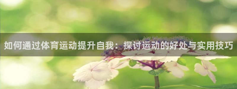 胜天国际平台总代理