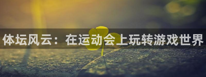 福建胜天国际机电股份公司