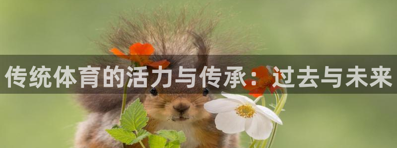 意昂3平台