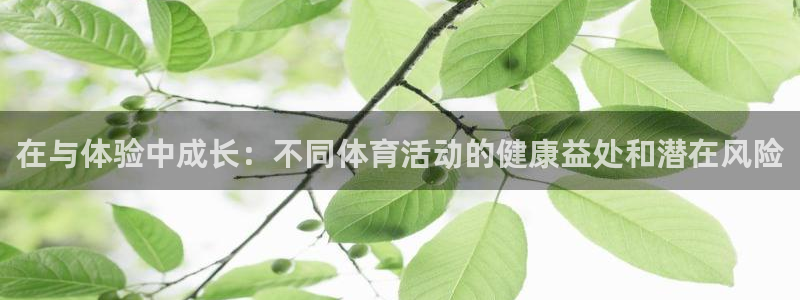意昂新能源汽车科技有限公司