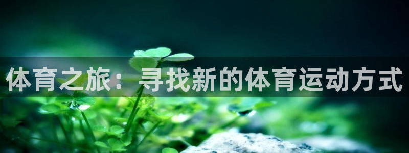 东莞市胜天国际电子科技有限公司