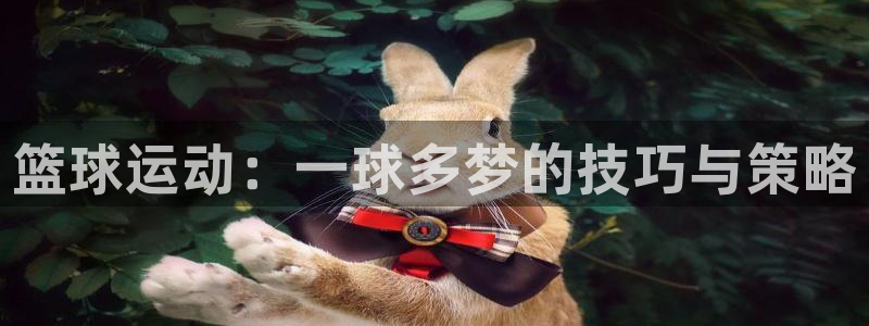 胜天国际2平台